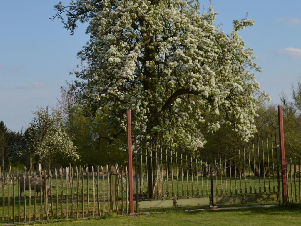 With A Broad View Over The Hilly Landscape Flobecq Extérieur photo